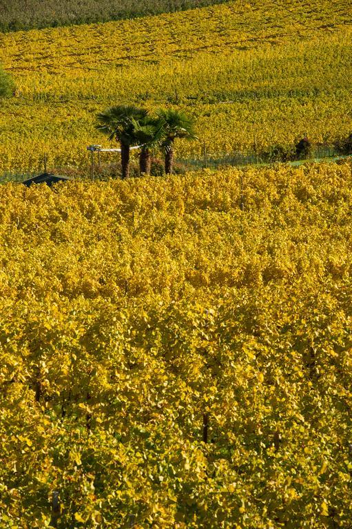 Weingut Wolkanhof أبيانو سولاّ ستراذا المظهر الخارجي الصورة