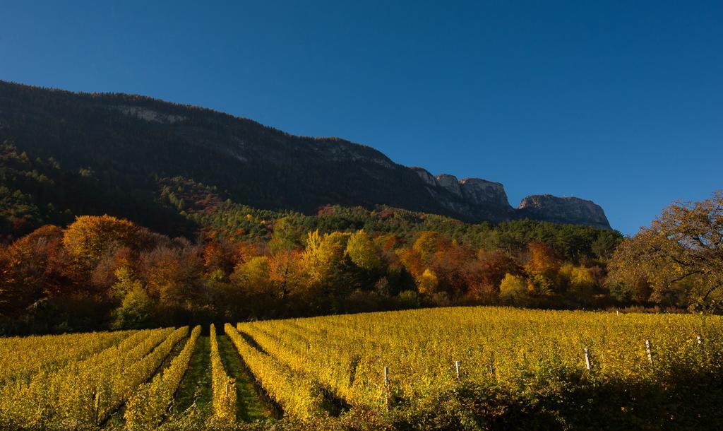 Weingut Wolkanhof أبيانو سولاّ ستراذا المظهر الخارجي الصورة