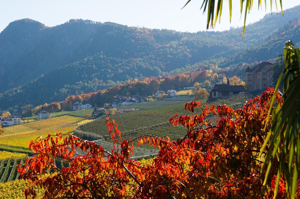 Weingut Wolkanhof أبيانو سولاّ ستراذا المظهر الخارجي الصورة