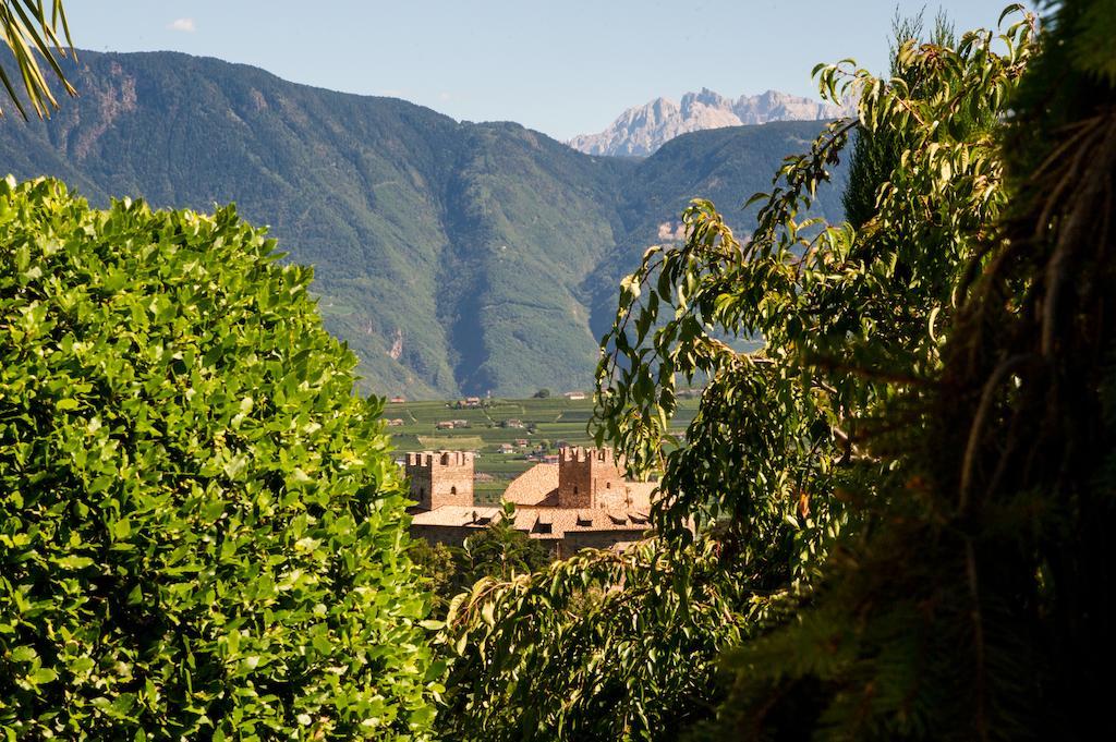 Weingut Wolkanhof أبيانو سولاّ ستراذا المظهر الخارجي الصورة