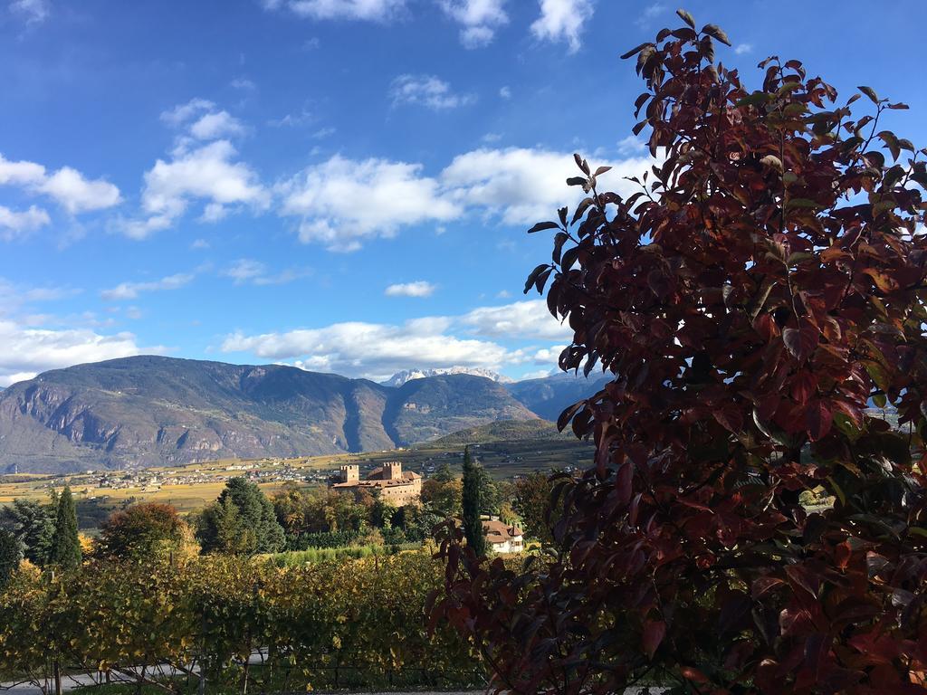 Weingut Wolkanhof أبيانو سولاّ ستراذا المظهر الخارجي الصورة