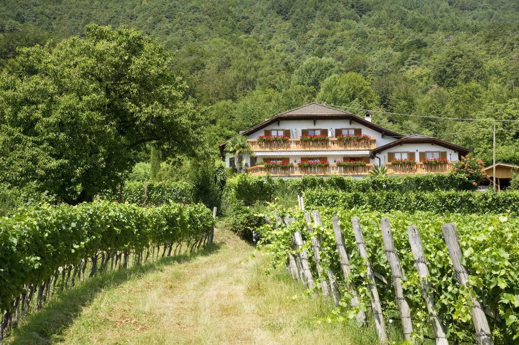 Weingut Wolkanhof أبيانو سولاّ ستراذا المظهر الخارجي الصورة