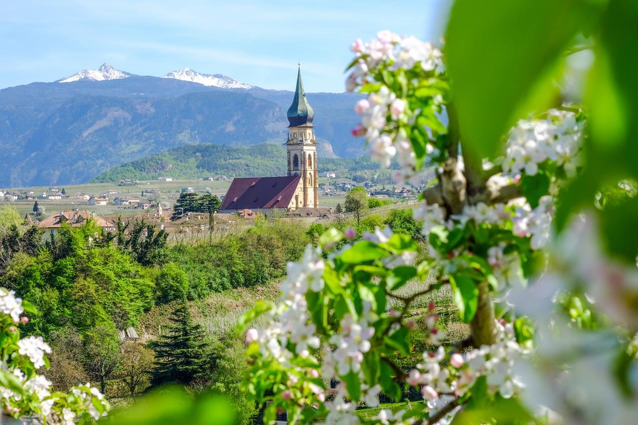 Weingut Wolkanhof أبيانو سولاّ ستراذا المظهر الخارجي الصورة