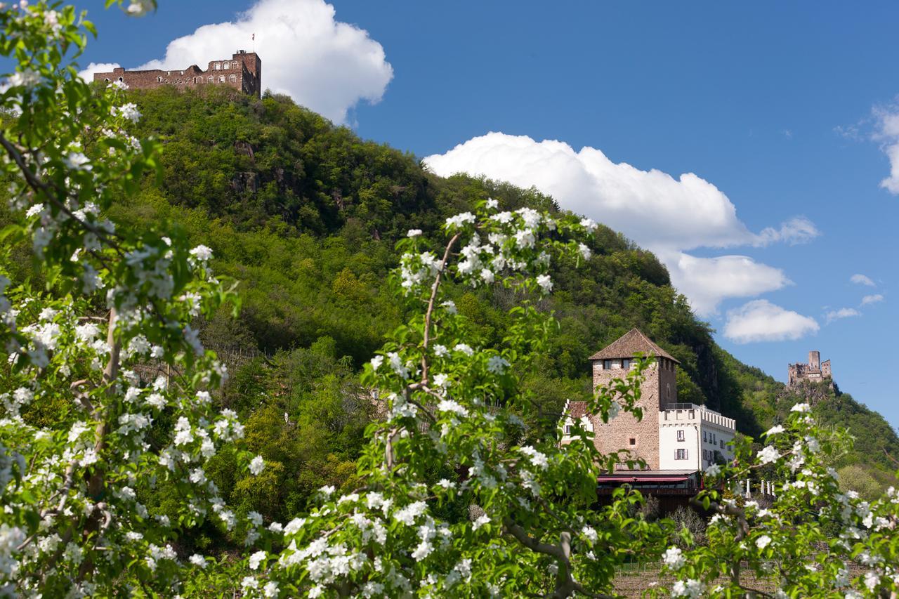 Weingut Wolkanhof أبيانو سولاّ ستراذا المظهر الخارجي الصورة